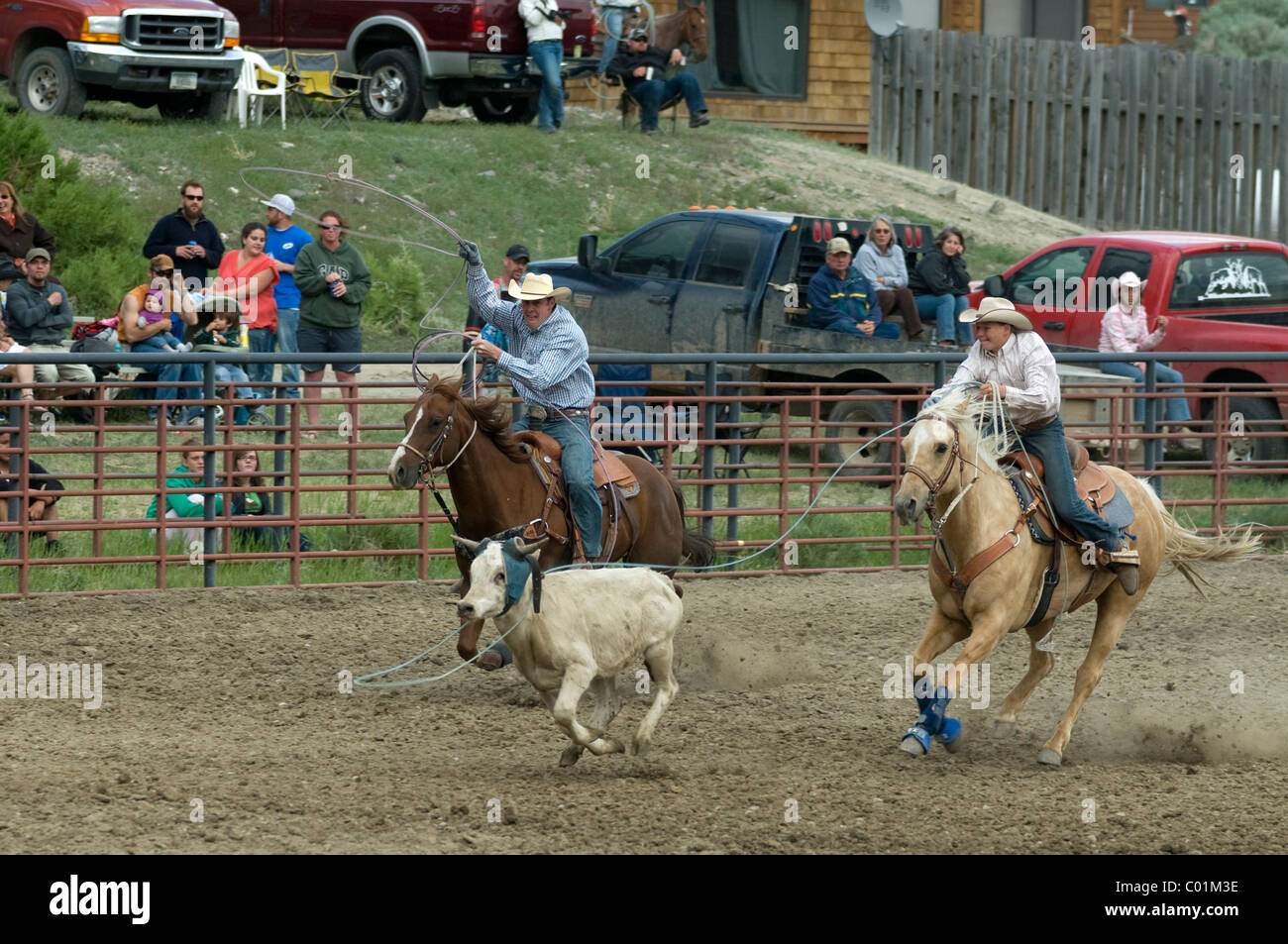 Rodeo, Gardiner, Montana, USA, North America Stock Photo Alamy