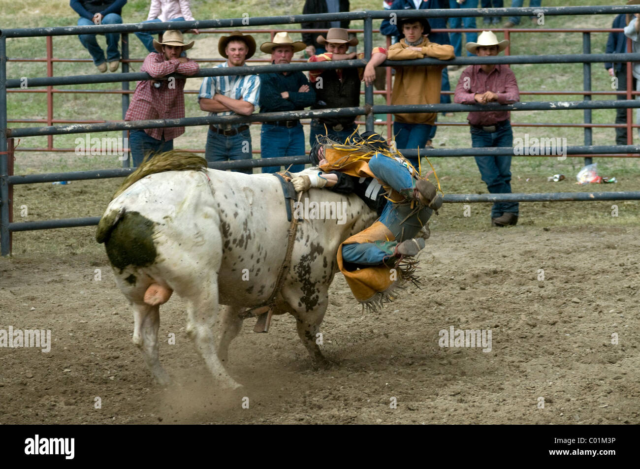 Gardiner Rodeo Photos of cowboys at rodeo hi-res stock photography and images - Alamy