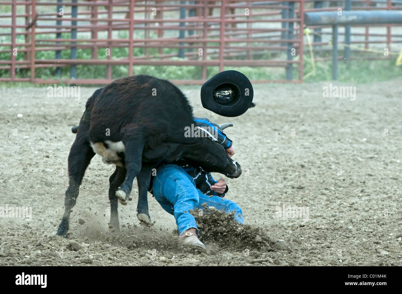Gardiner Rodeo Photos of cowboys at rodeo hi-res stock photography and images - Alamy