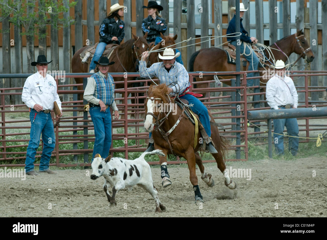 Gardiner Rodeo Rodeo, Gardiner, Montana, USA, North America Stock Photo - Alamy