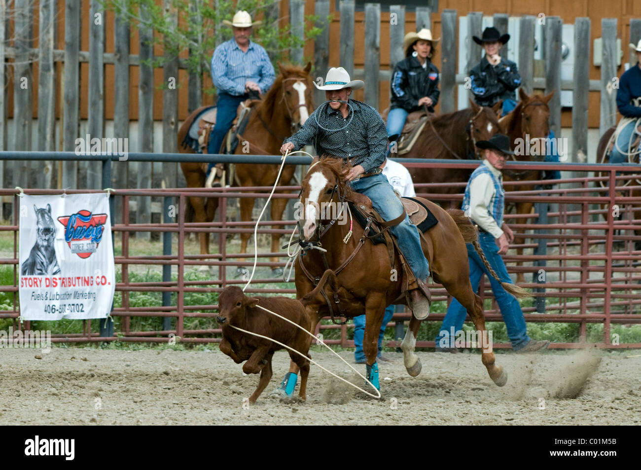 Gardiner Rodeo Rodeo, Gardiner, Montana, USA, North America Stock Photo - Alamy