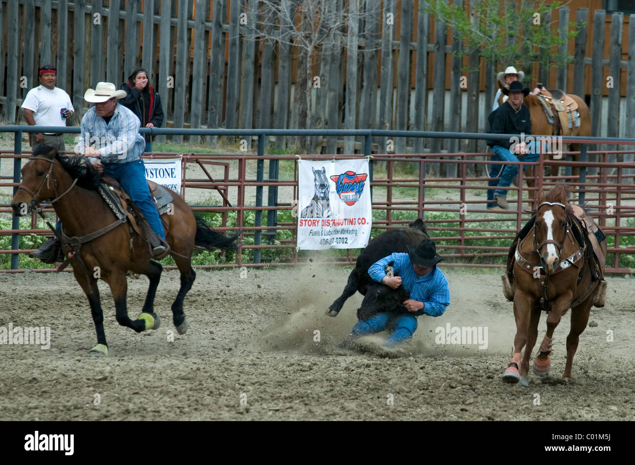 Gardiner Rodeo Photos of cowboys at rodeo hi-res stock photography and images - Alamy