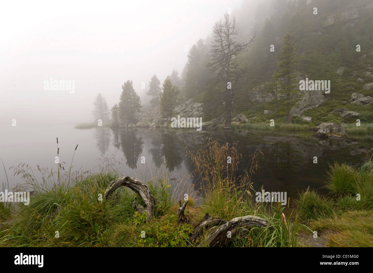Windebensee lake, Nockberge National Park, Carinthia, Austria, Europe Stock Photo