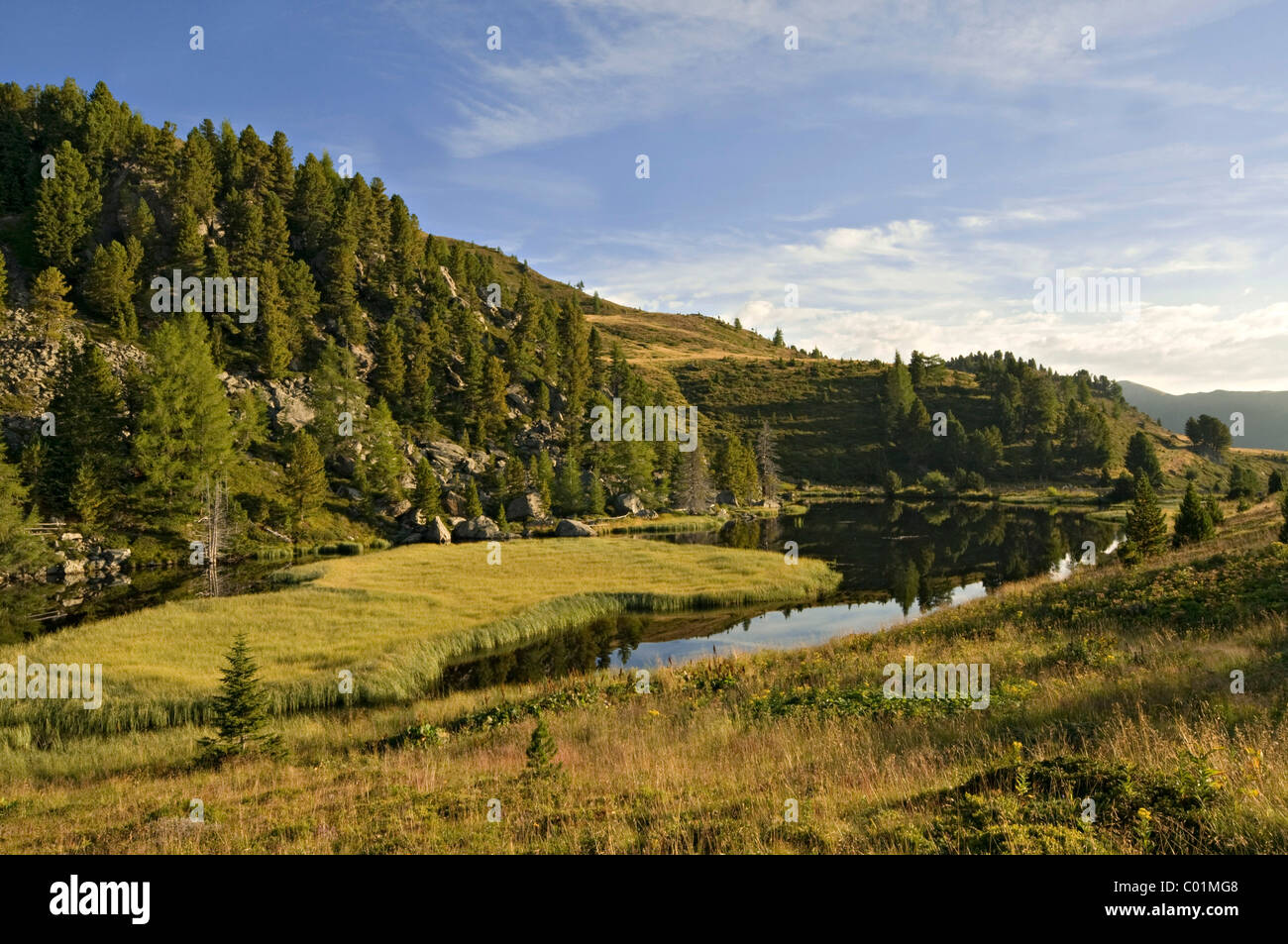 Windebensee lake, Nockberge National Park, Carinthia, Austria, Europe Stock Photo