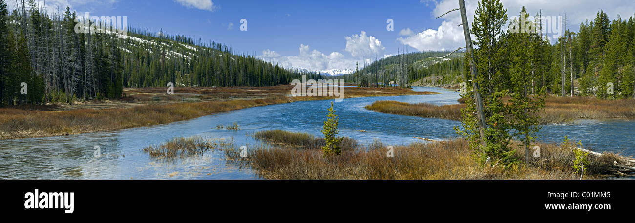 Lewis River near Lewis Falls, Yellowstone National Park, Wyoming, USA, North America Stock Photo