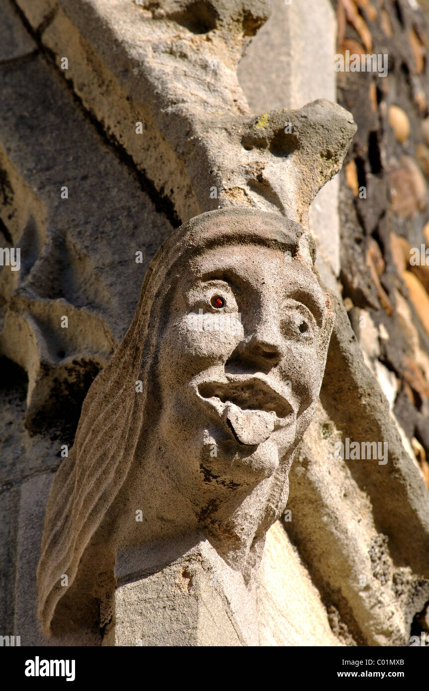 Gargoyle on St. Mary the Virgin Church, St. Neots, Cambridgeshire, England, UK Stock Photo