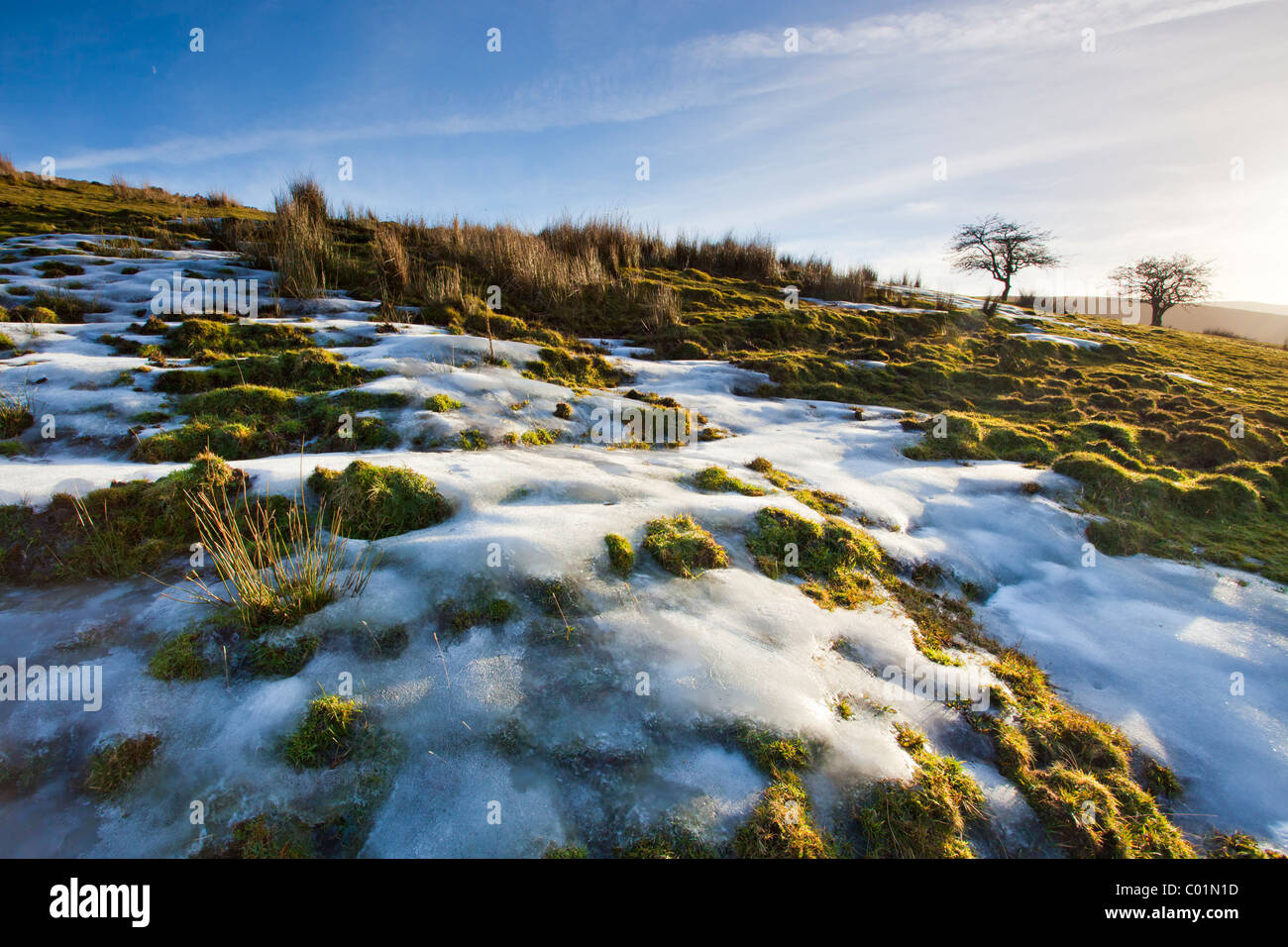 Brightly lit snow on Darmoor Devon England UK Stock Photo