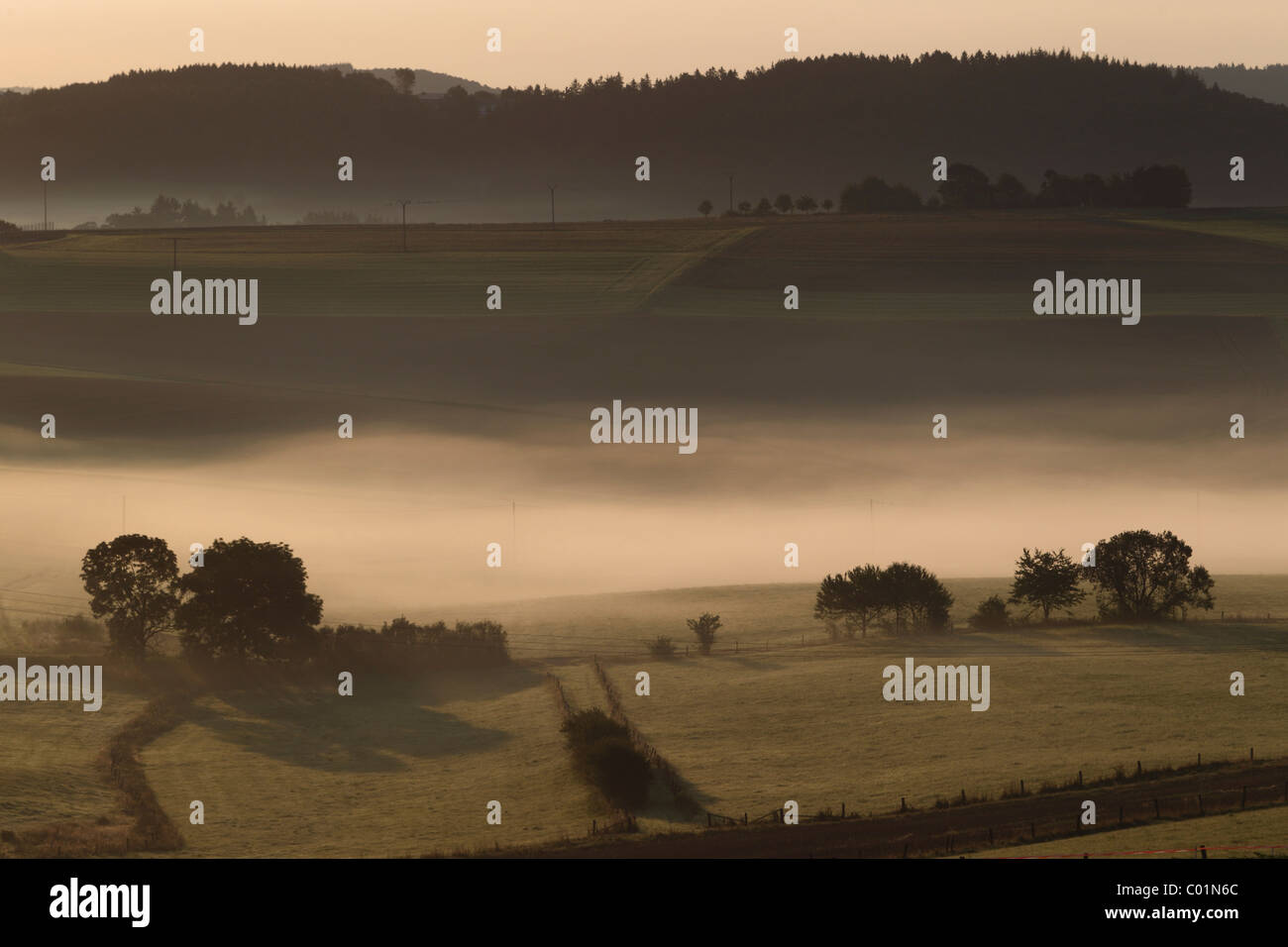 Morning fog in the Eifel mountain range near Nuerburg, Rhineland-Palatinate, Germany, Europe Stock Photo