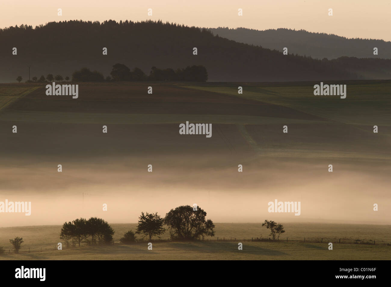 Morning fog in the Eifel mountain range near Nuerburg, Rhineland-Palatinate, Germany, Europe Stock Photo