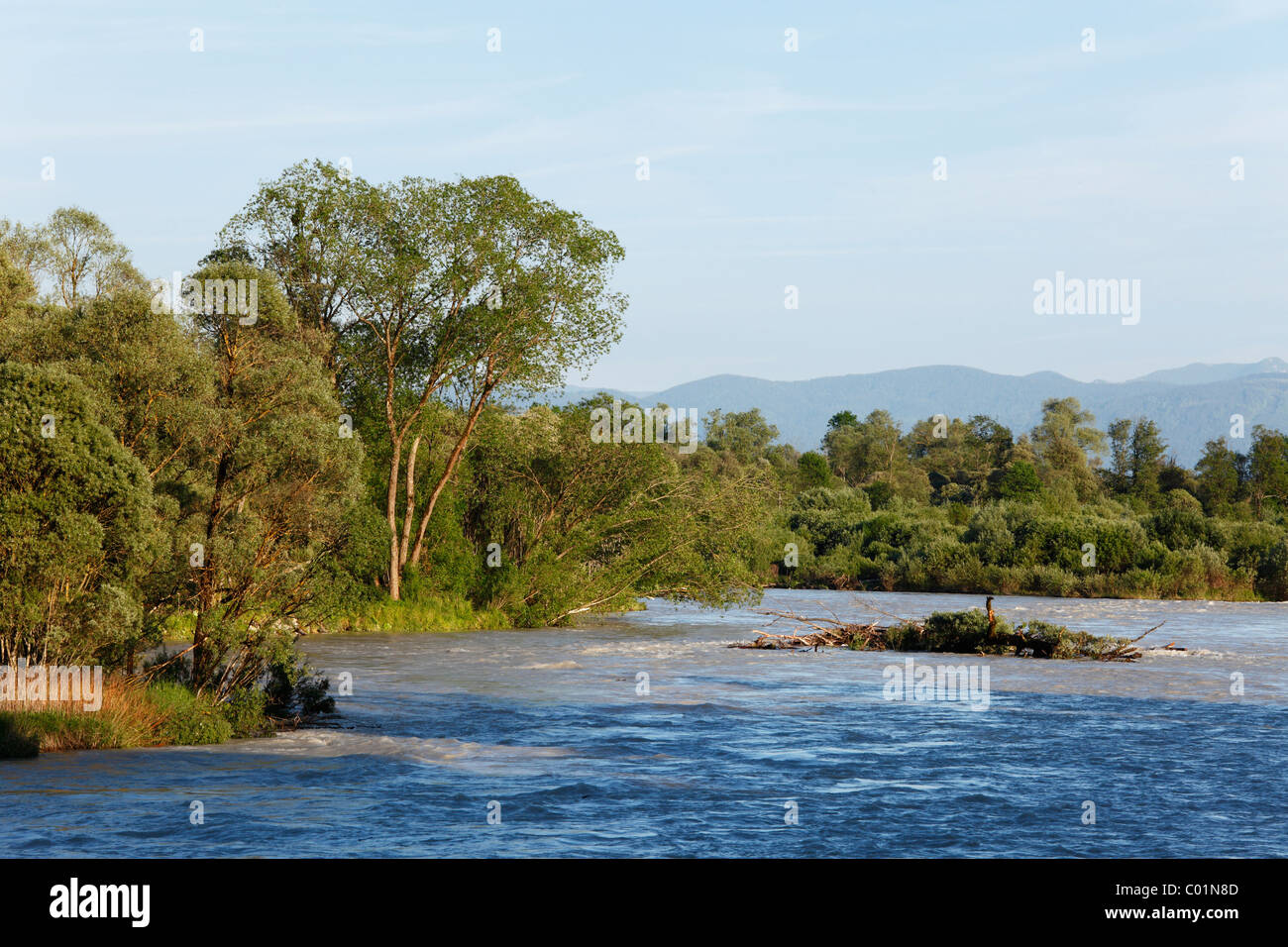 Floodwaters on the Isar river, Ascholding Au floodplains, Geretsried, Upper Bavaria, Germany, Europe Stock Photo