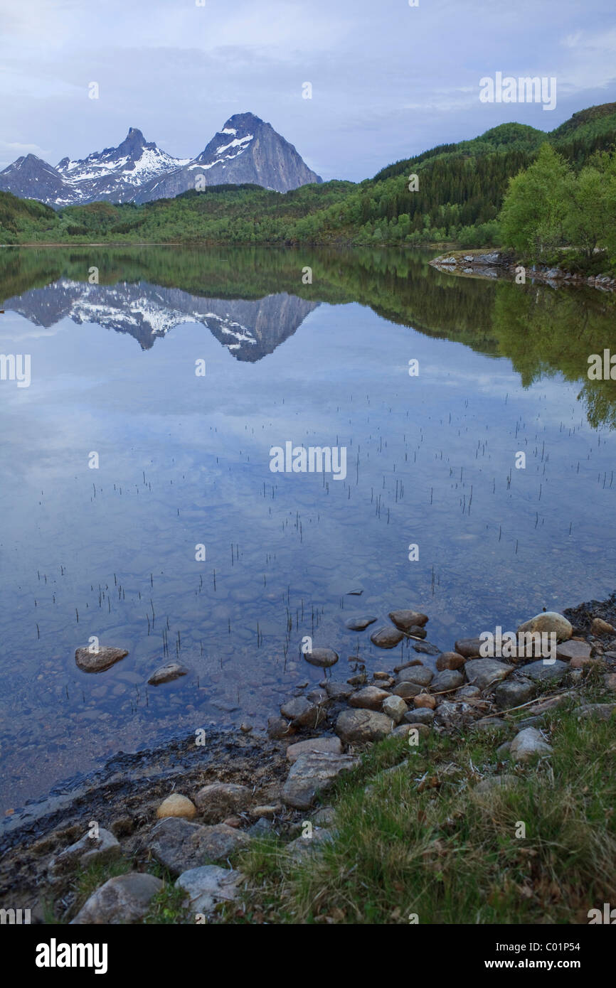 Reflections on the water surface of a lake, Norway, Scandinavia, Europe Stock Photo