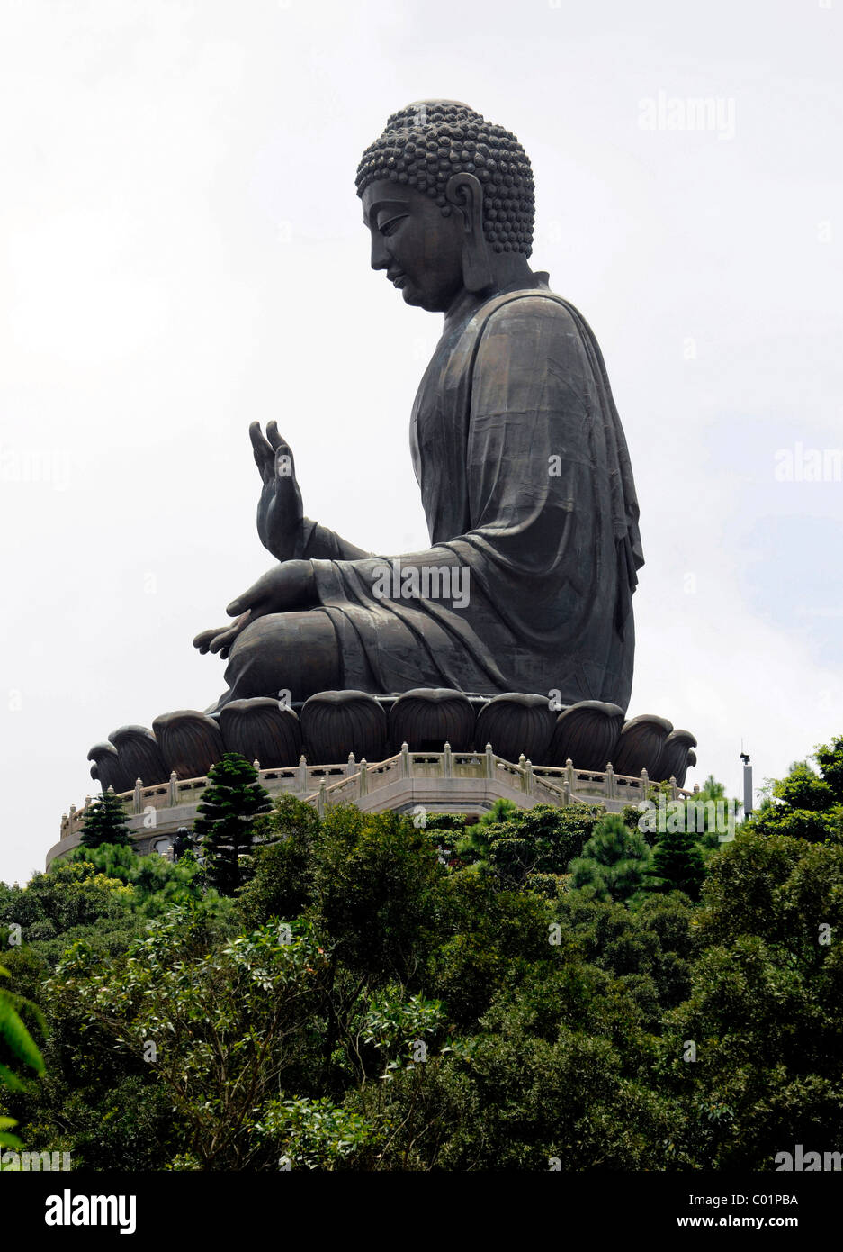 Buddha Statue Hong Kong