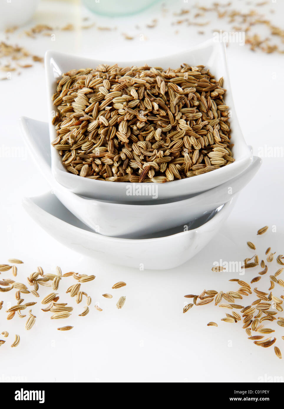 FENNEL SEEDS Stock Photo