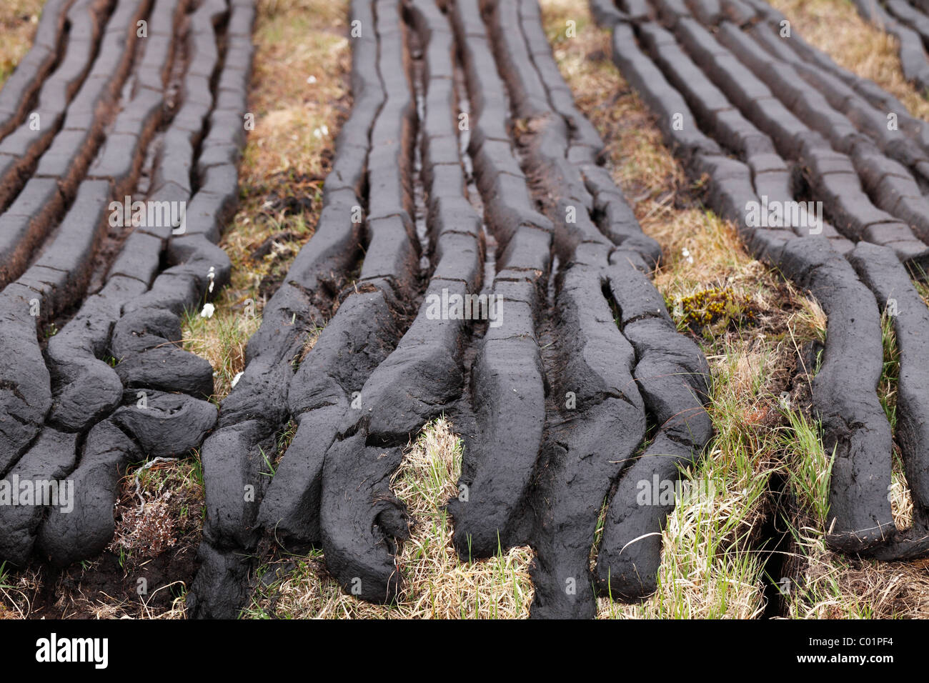 Peat cutting, Connemara, County Galway, Republic of Ireland, Europe