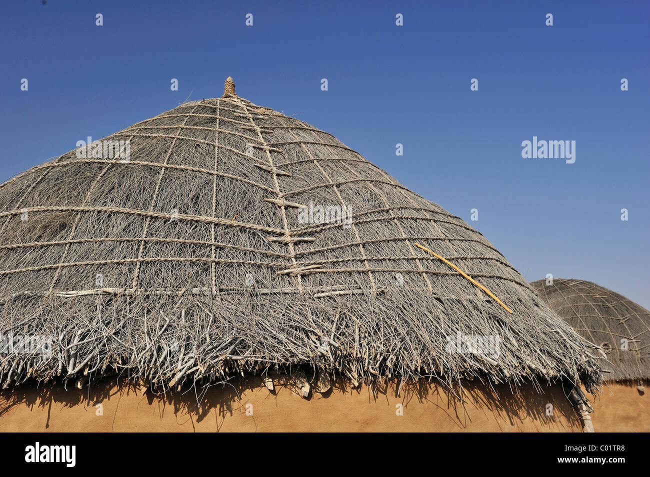 Brushwood covered pitched roof on a traditional house in the Thar desert, the brushwood is attached with thin cords made from Stock Photo