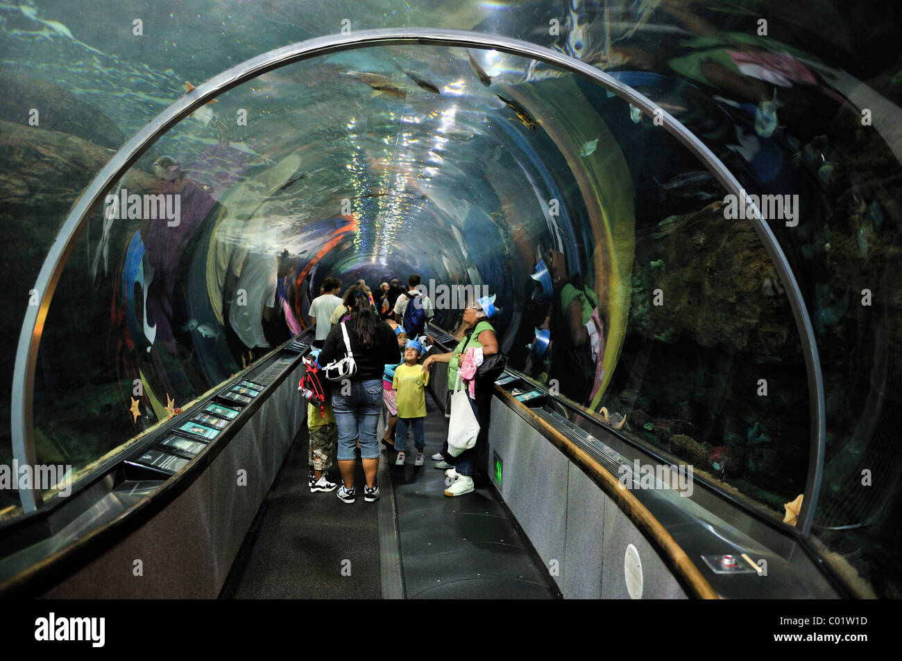 Visitors in an aquarium tunnel in the 'Aquarium by the Bay', San Francisco, California, USA Stock Photo