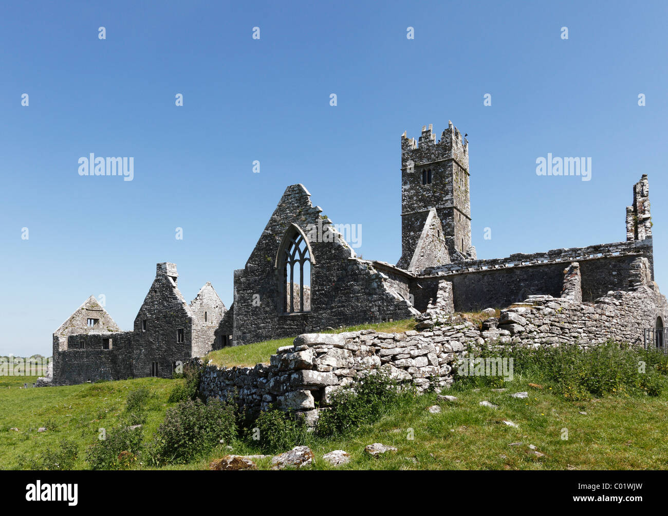 Ross Abbey near Headford, County Galway, Connacht, Republic of Ireland, Europe Stock Photo