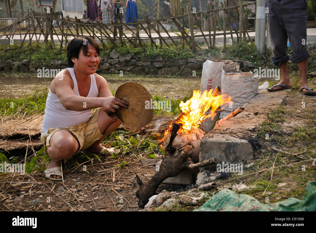 Vietnamese man preparing a goat for a feast, coat being removed, Mai Chau, a village where ethnic minorities live, Vietnam Stock Photo