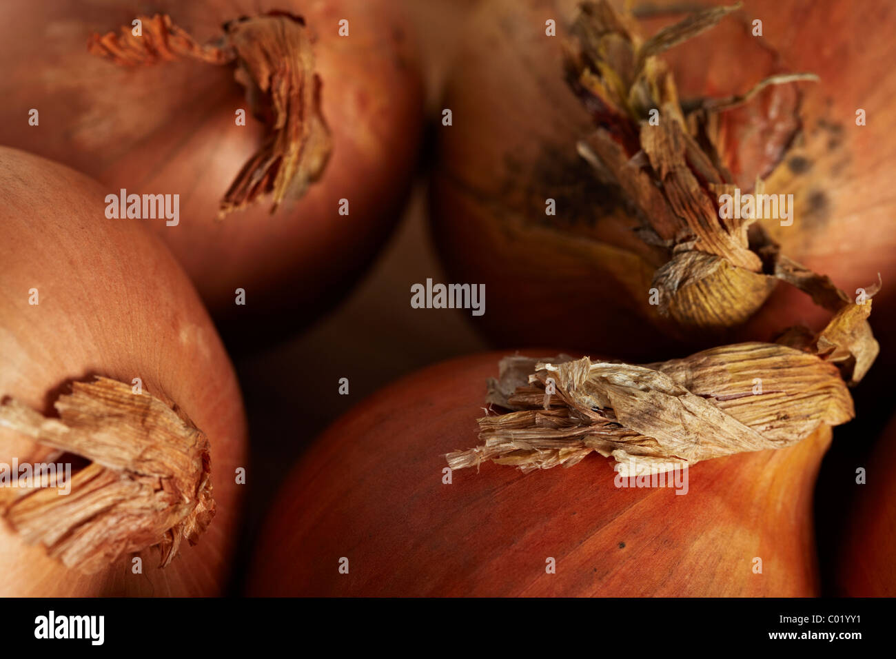 Onions on a chopping board in a kitchen. Stock Photo