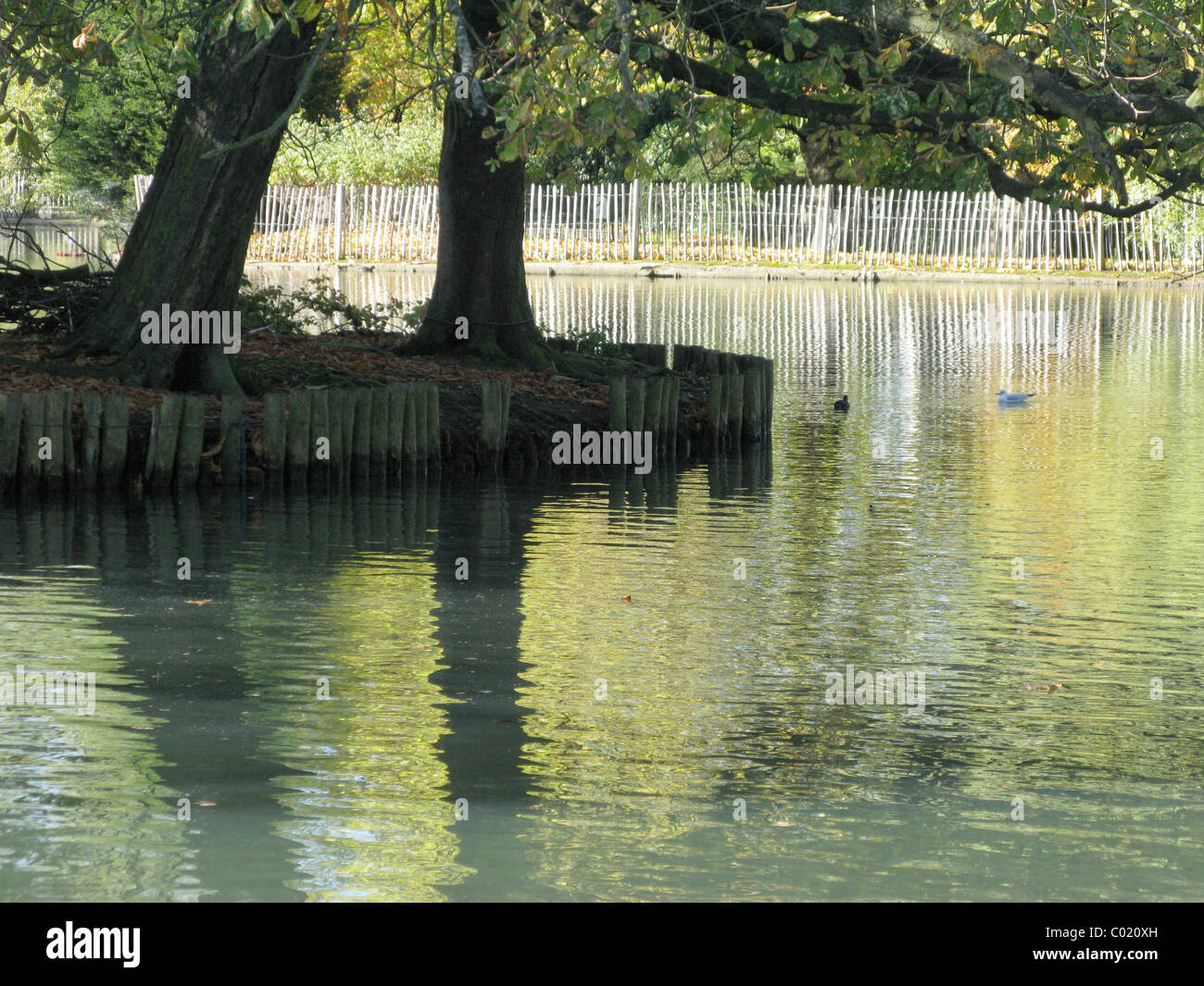 The boating lake at Alexandra Palace, London Stock Photo