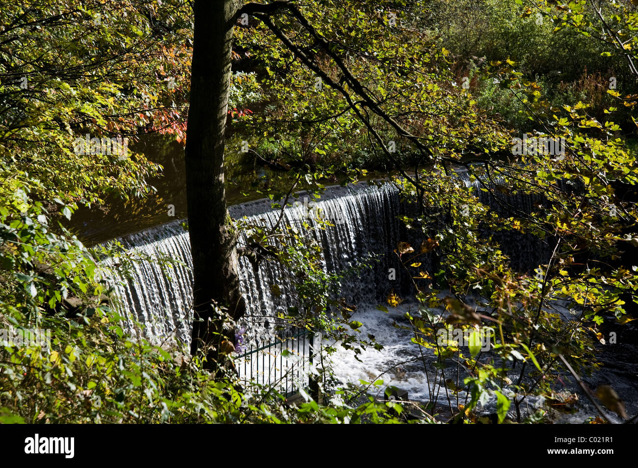 Birkacre Weir, on the River Yarrow, in the Yarrow Valley Country Park