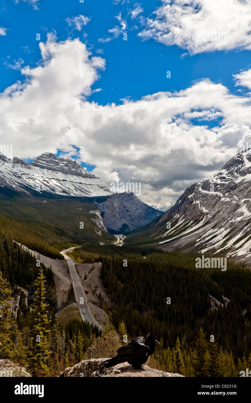 Looking south east on the Icefields Parkway, Banff National Park towards Cirrus Mountain Canadian Rocky Mountains, Alberta, Canada Stock Photo
