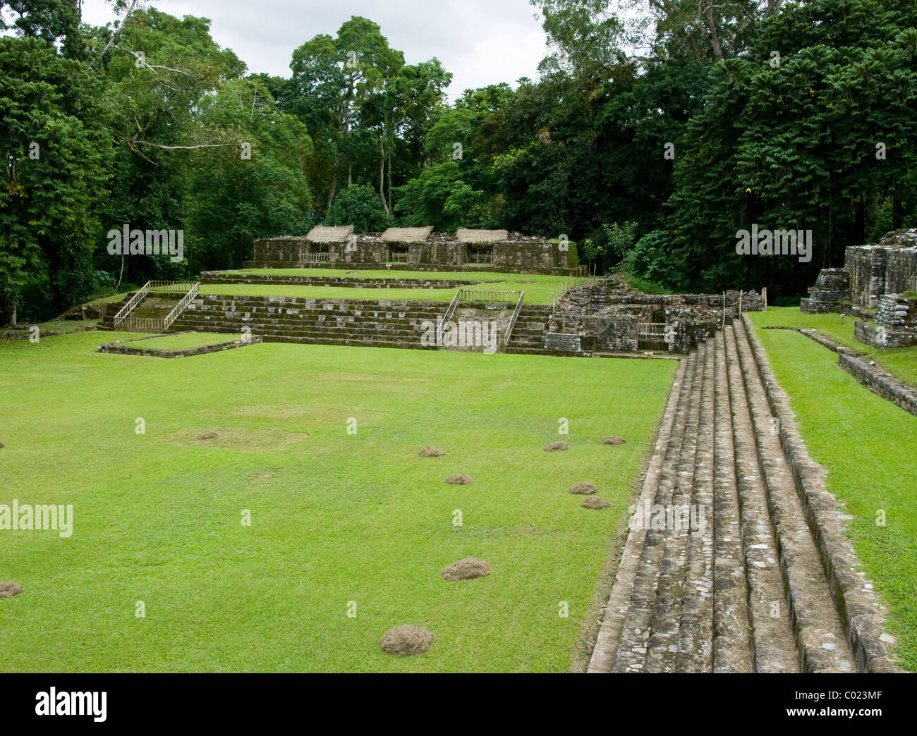 Guatemala. Quiriguá Archaeological Zone. The Acropolis Stock Photo Alamy