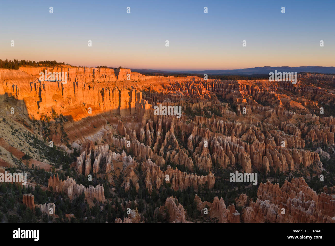 Hoodoos of the Claron formation, Bryce Ampitheater, Bryce Canyon National Park, Utah, USA Stock Photo