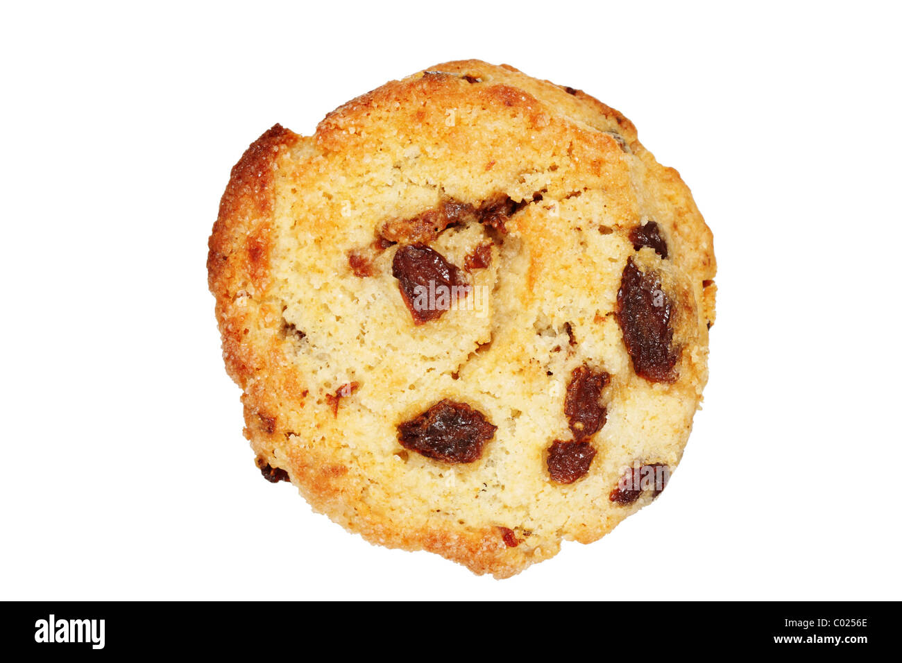 baked raisin scone isolated on white background Stock Photo