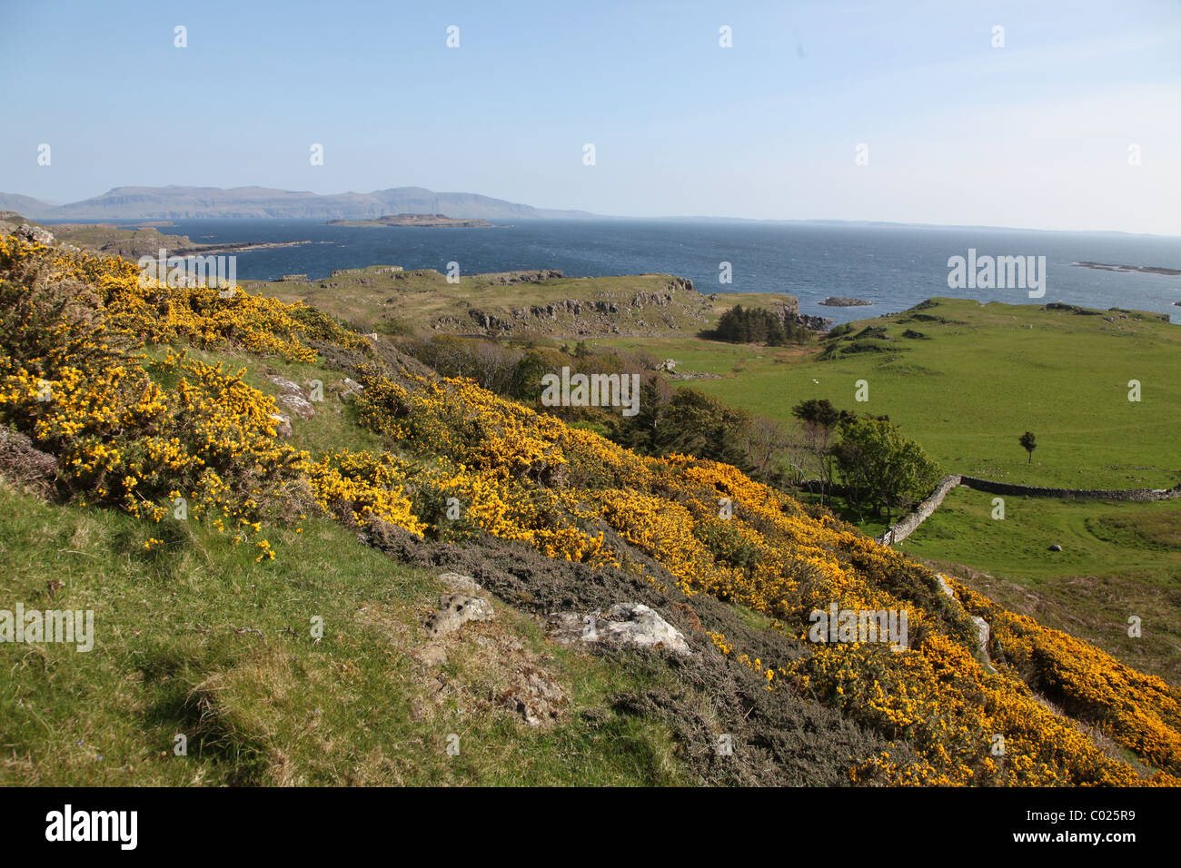 View of Iona from Gometra Island near Mull in the Inner Hebrides Scotland Stock Photo Alamy