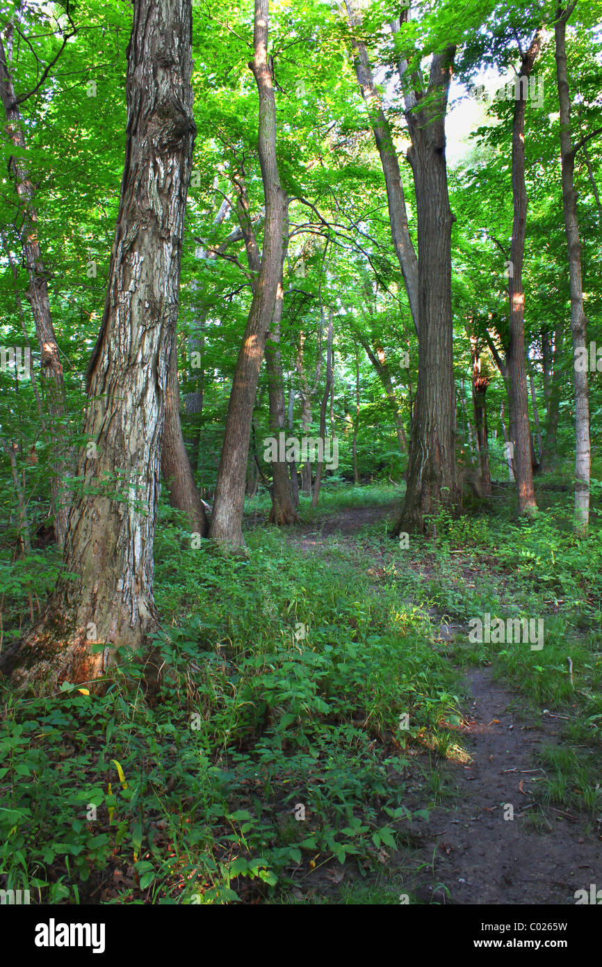 Shabbona Lake State Park Illinois Stock Photo Alamy