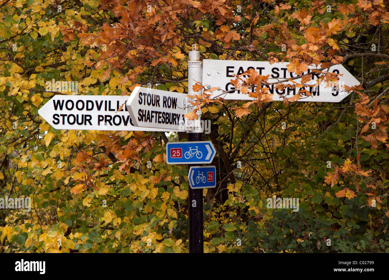 Blackmore vale stour provost hires stock photography and images Alamy