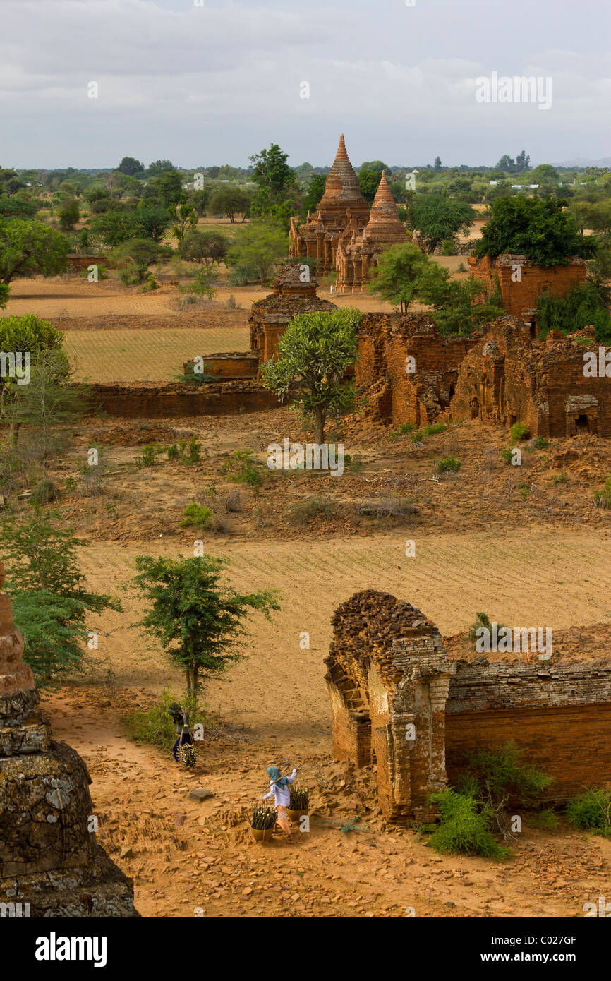 view of temples surrounding Htilominlo temple, southwest Bagan, Myanmar Burma Stock Photo