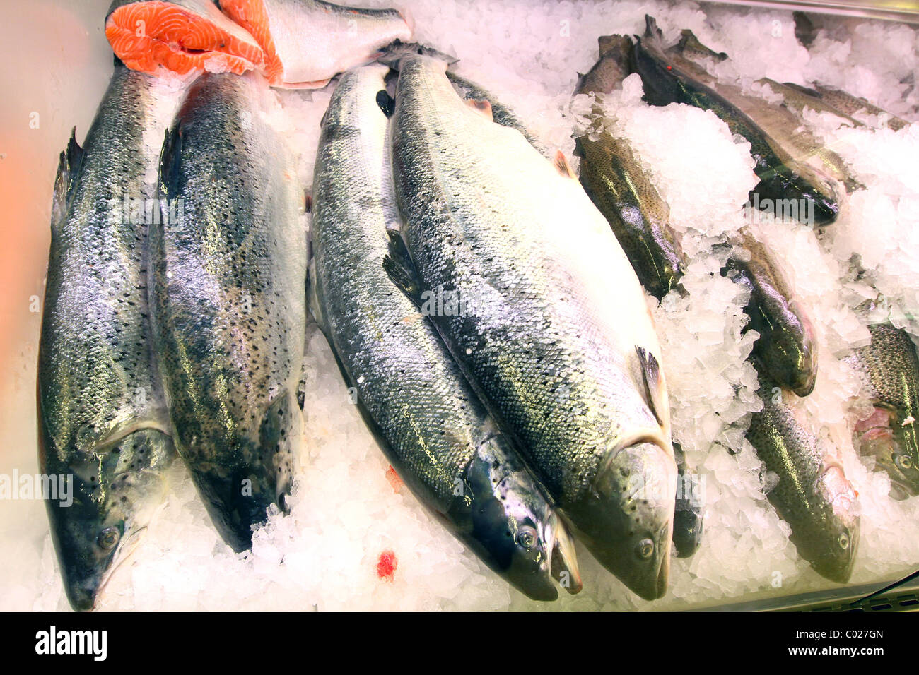 HELSINKI, FINLAND, 2010: Frozen fish in the store Stock Photo - Alamy