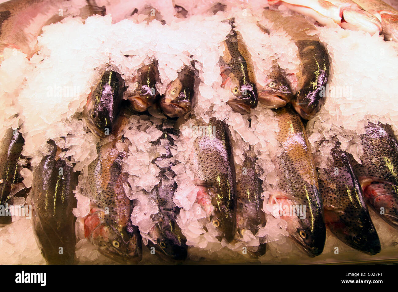 Frozen fish hires stock photography and images Alamy