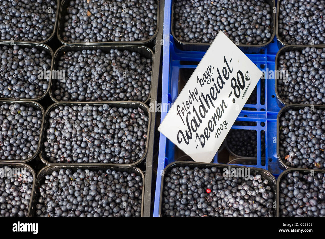 Fresh wild blueberries, stall on the Viktualienmarkt food market, Munich, Bavaria, Germany, Europe Stock Photo