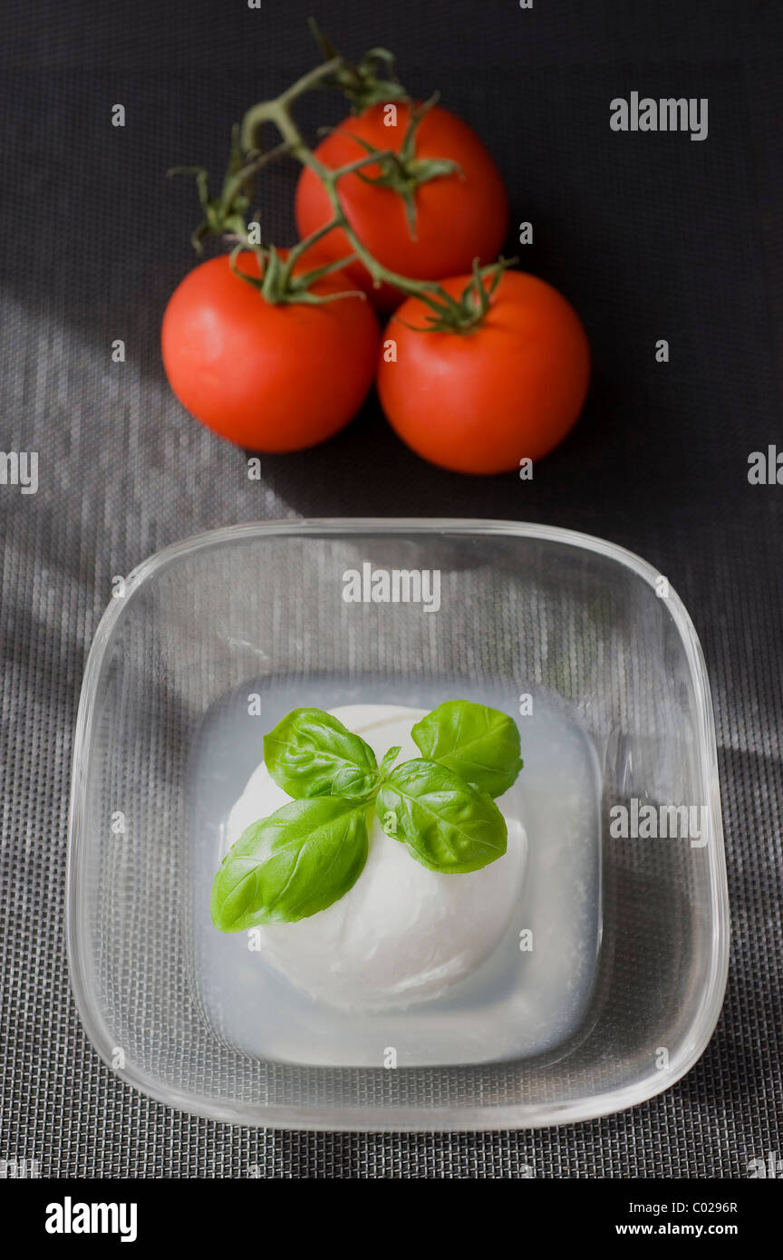 Mozzarella di bufala, buffalo mozzarella, in brine, made from water