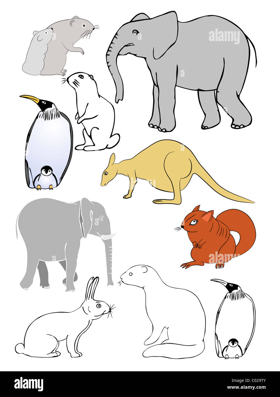 Illustration of the various animals Stock Photo
