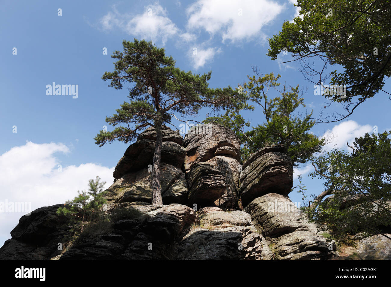 Hoher Stein Mountain, Muehlberg, Dunkelsteinerwald, Wachau, Mostviertel, Lower Austria, Austria, Europe Stock Photo