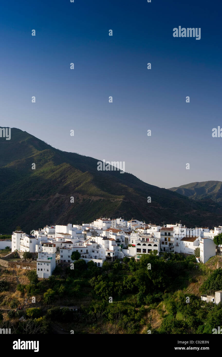 Istan, Costa del Sol, Andalusia, Spain, Europe Stock Photo