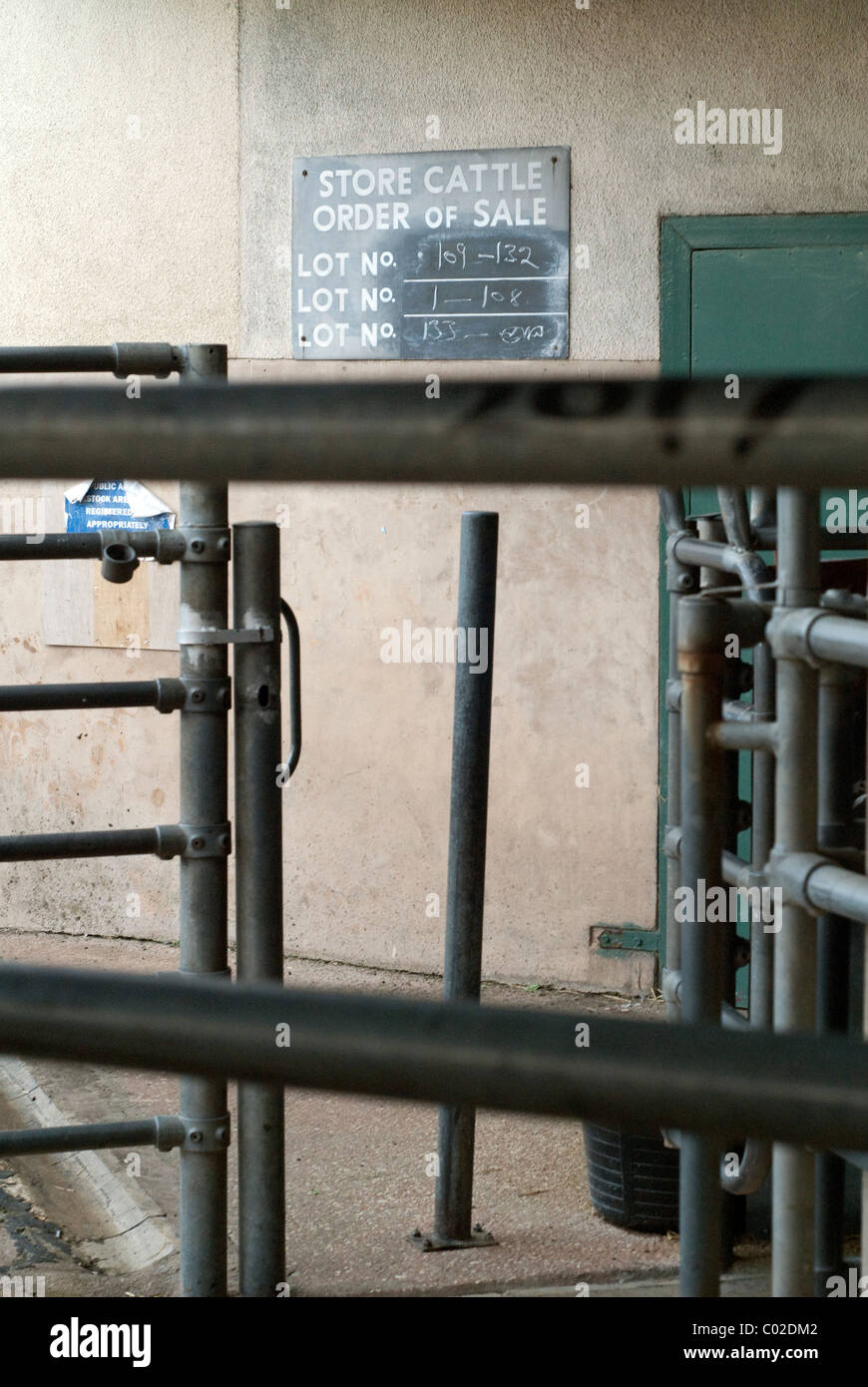 Cattle market. Empty Taunton Livestock market not on a market day, months before closure. Stock Photo