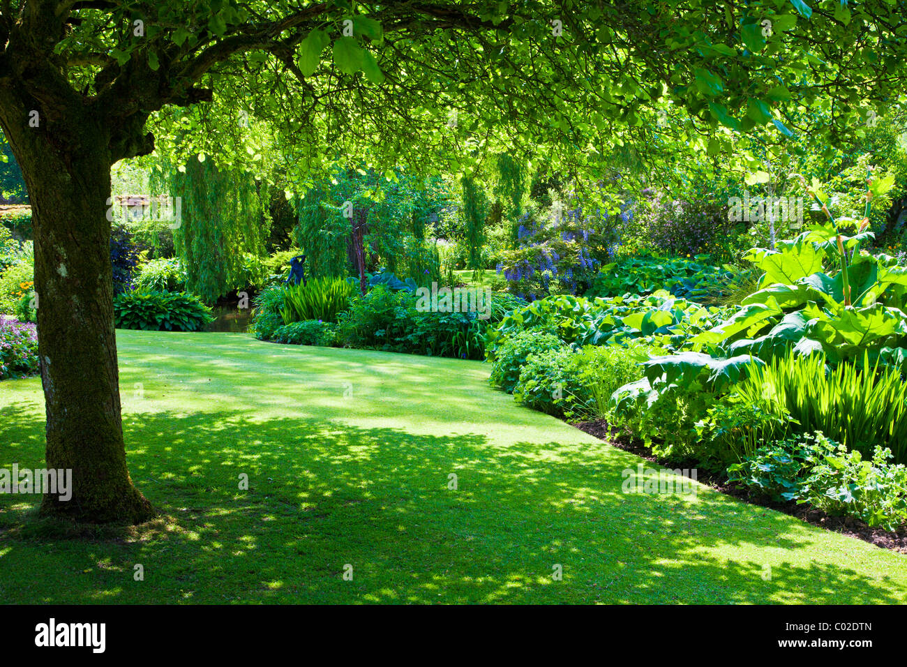 A shady corner beneath a tree near the banks of an ornamental garden pond in an English country garden Stock Photo