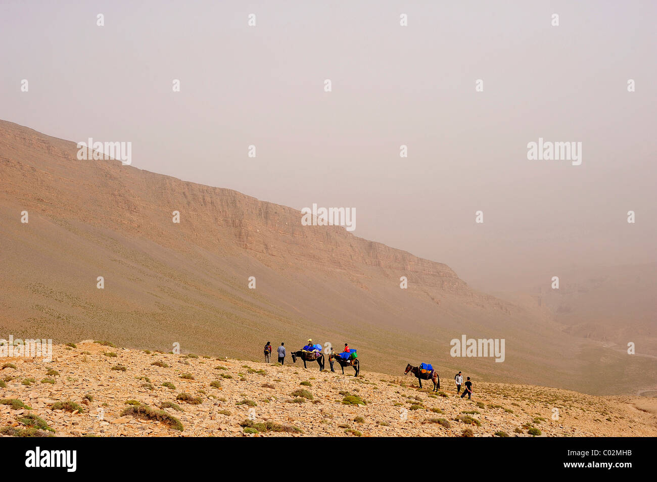 Travellers travelling with mules on a trekking tour in the High Atlas Mountains, Ait Bouguemez, High Atlas, Morocco, Africa Stock Photo