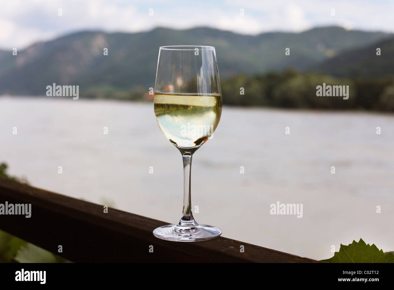 Wine glass with white wine on the Danube, Spitz, Wachau, Waldviertel, Lower Austria, Austria, Europe Stock Photo