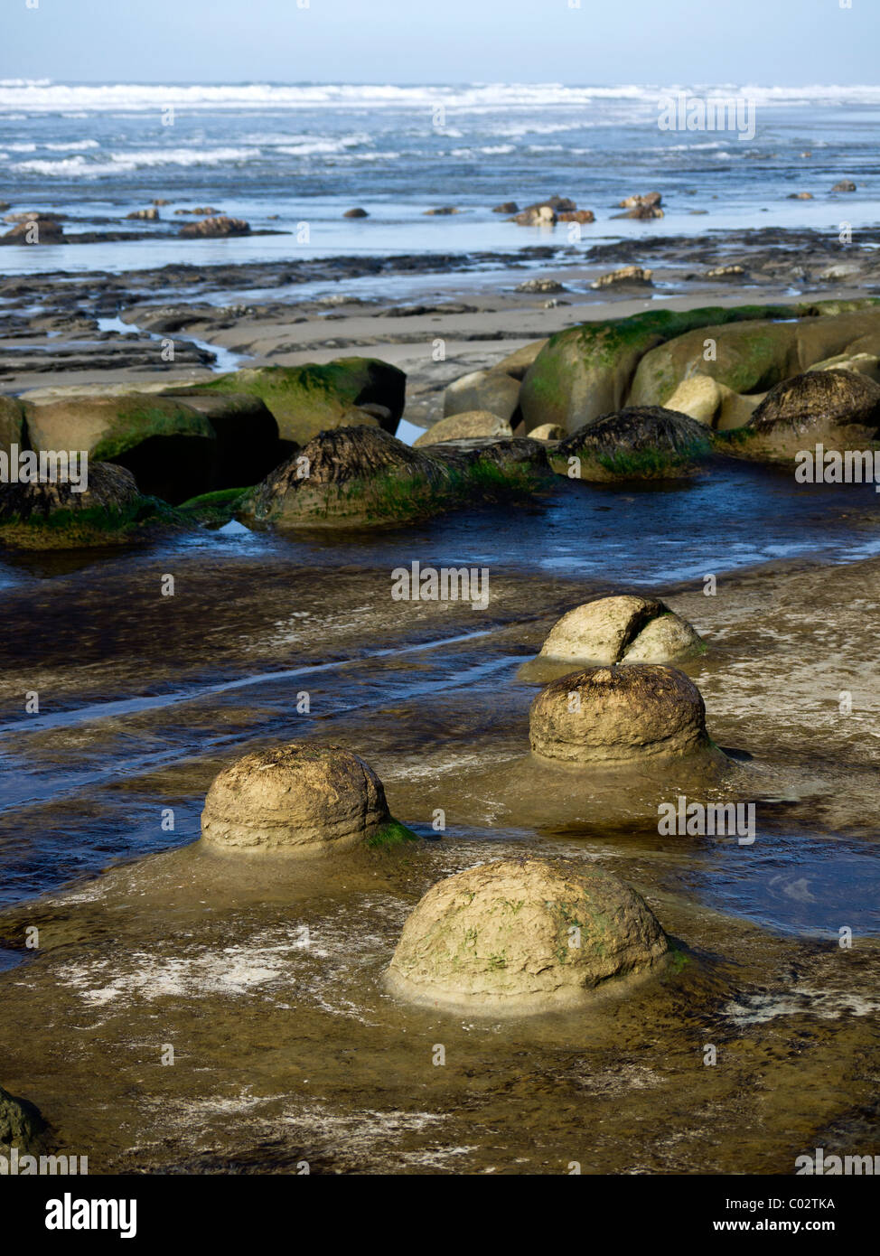 Cannonball concretions on an Oregon coast beach Stock Photo