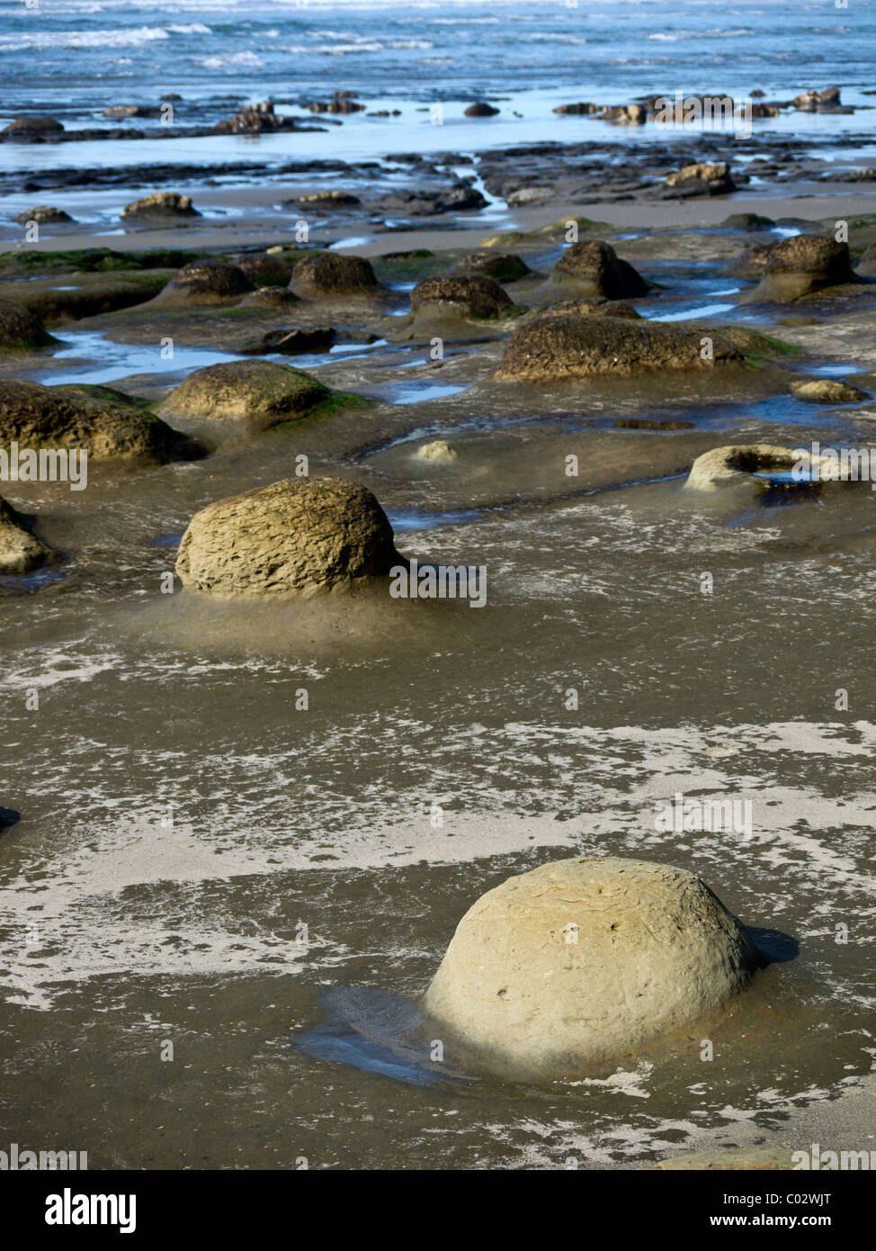 Cannonball concretions on an Oregon coast beach Stock Photo