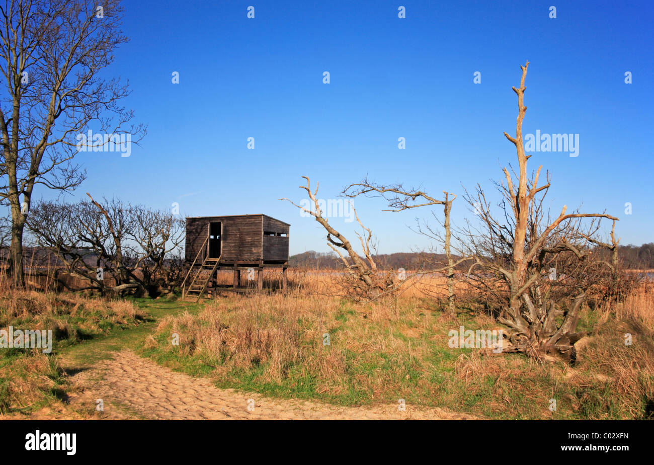 Benacre national nature reserve hi-res stock photography and images - Alamy