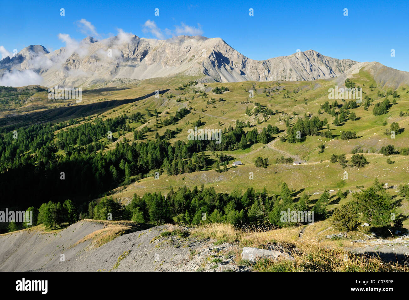Panorama over Col des Champs, Mercantour National Park, Haute Verdon mountains, Alpes de Haute Provence, France, Europe Stock Photo