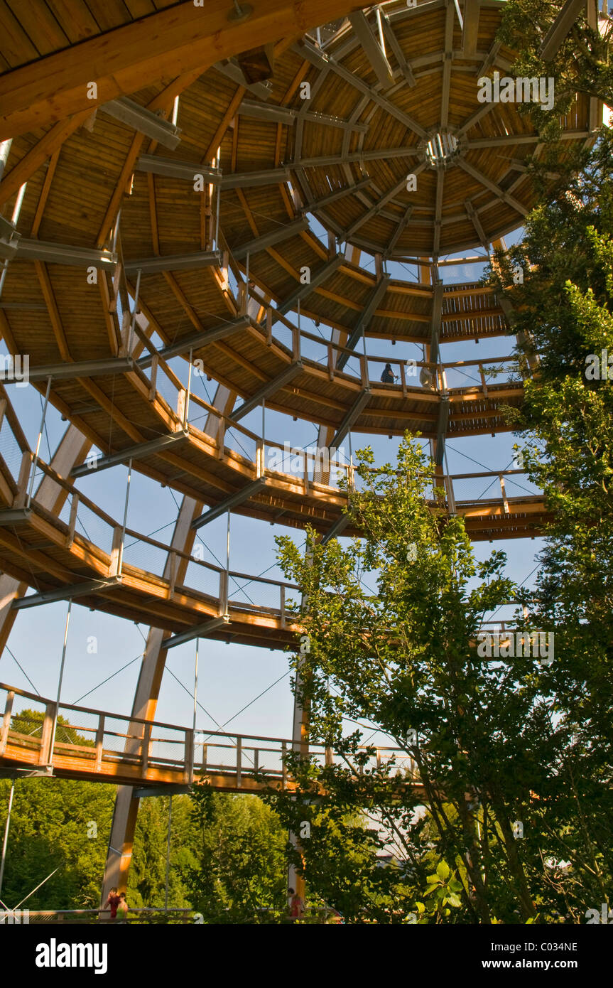 Tree platform, 44 metres high, the world's longest tree top walk, barrier-free spiral form, Neuschoenau Stock Photo