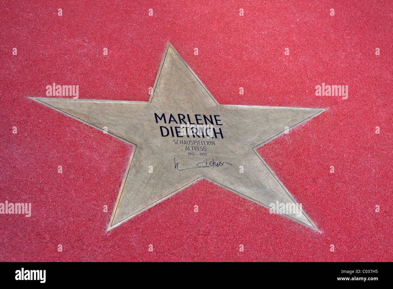 Star for Marlene Dietrich, actress, Boulevard of the Stars at Potsdamer Platz in Berlin, Germany, Europe Stock Photo